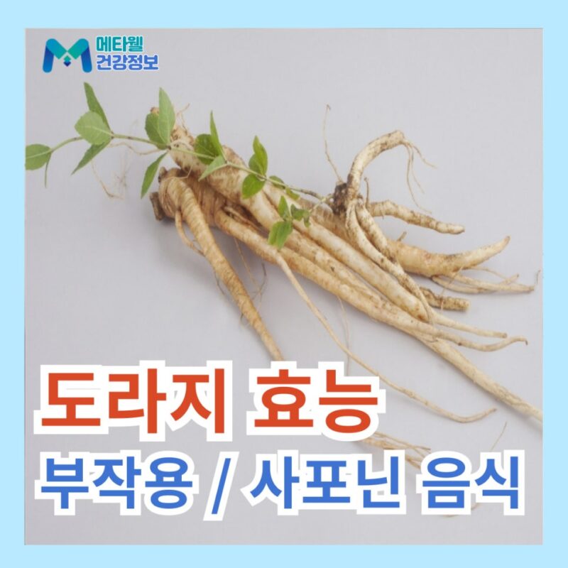 도라지 효능