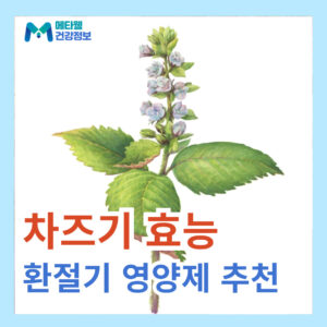 편도염 증상