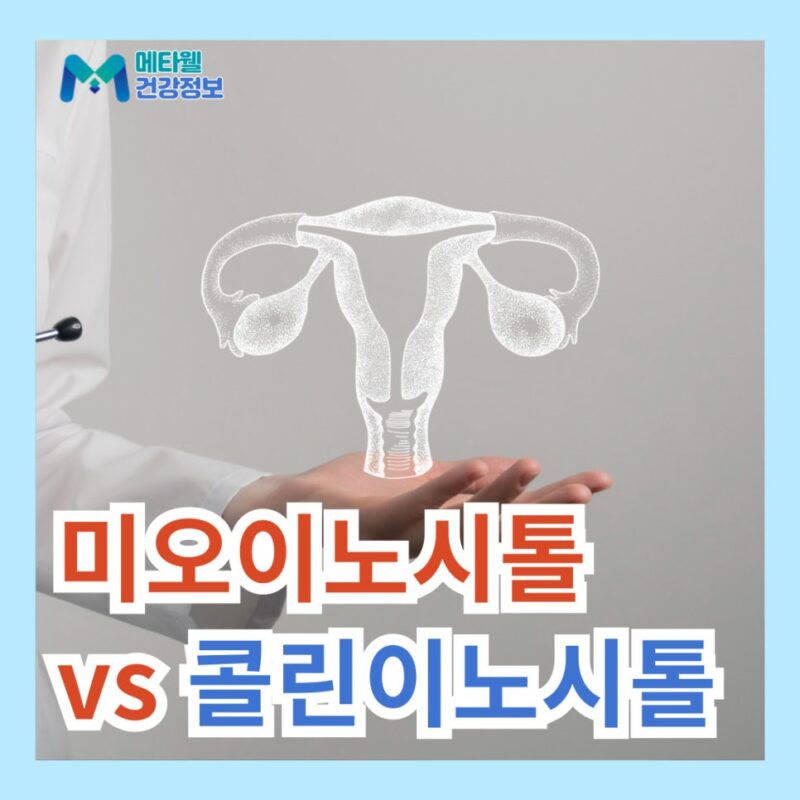 미오이노시톨 효능 부작용 콜린이노시톨 효능 비교 차이점