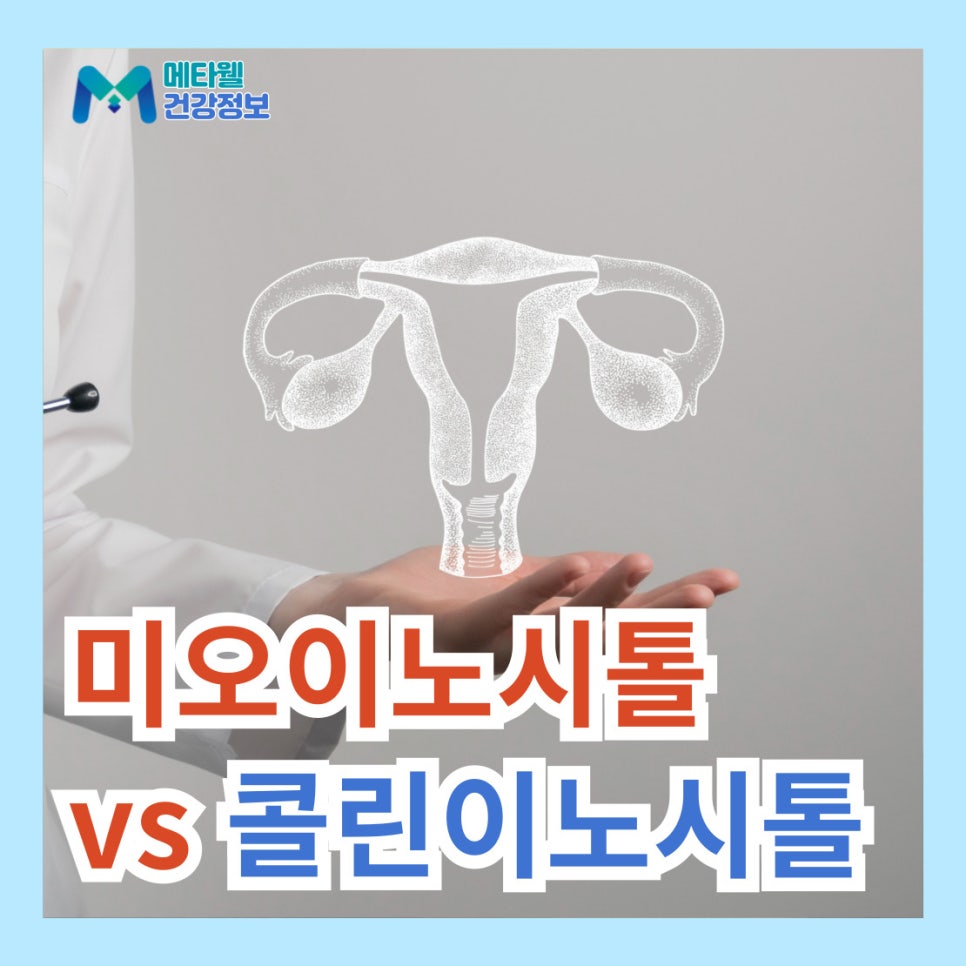 미오이노시톨 효능 부작용 콜린이노시톨 효능 비교 차이점