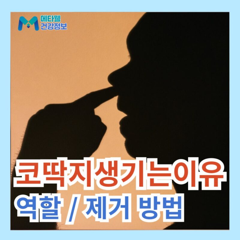 코딱지 많이 생기는 이유