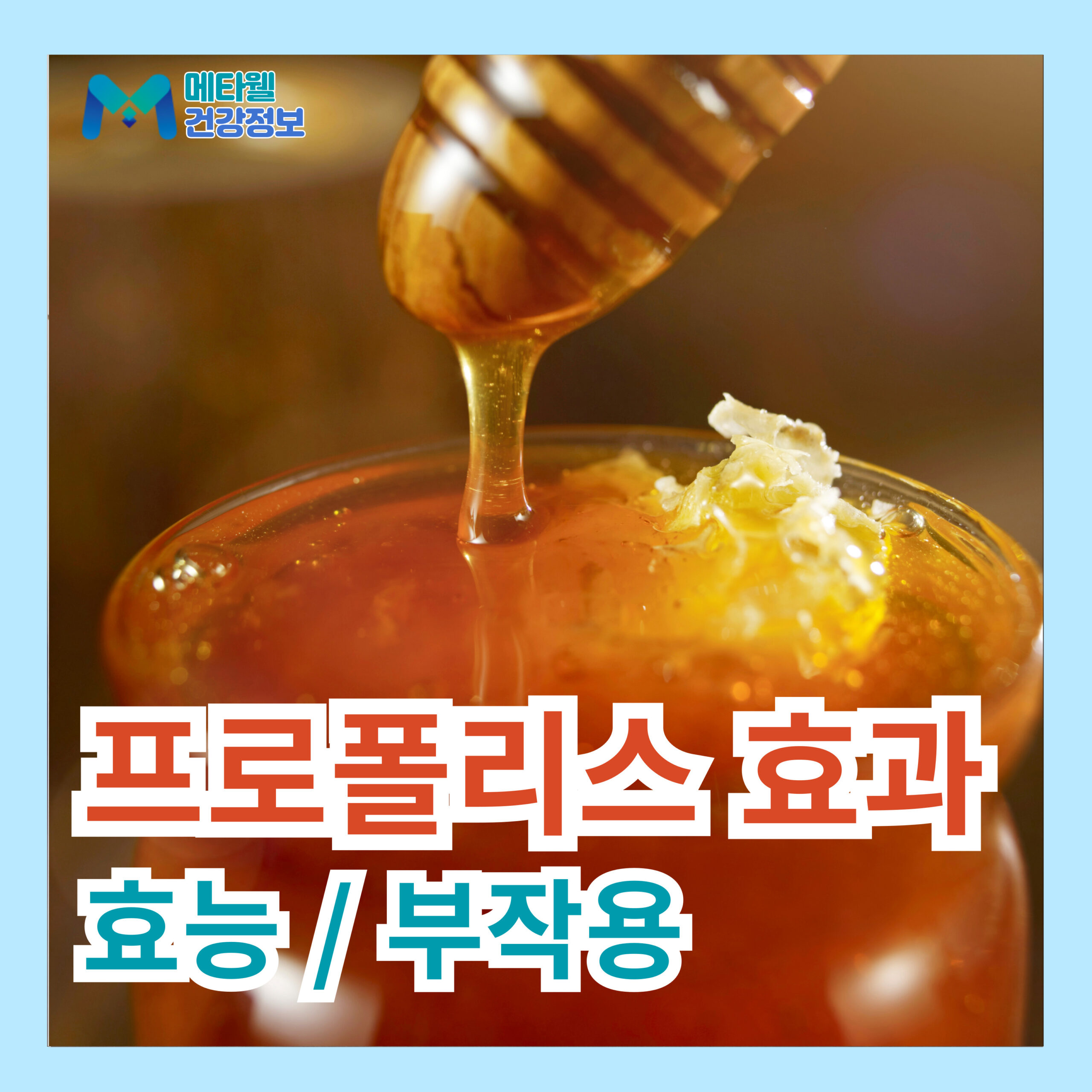 프로폴리스 효능