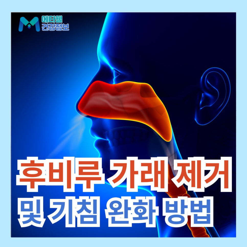 후비루 해결