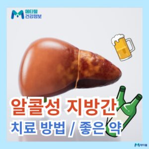 알콜성 지방간 원인 증상 치료 방법 지방간에 좋은 약 추천