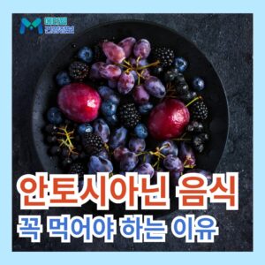 안토시아닌 음식 영양제 효능 부작용, 눈 피로 영양제 추천