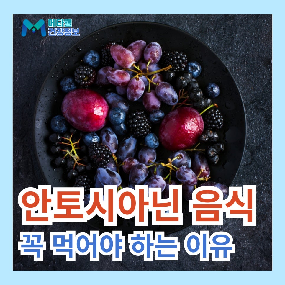 안토시아닌 음식 영양제 효능 부작용, 눈 피로 영양제 추천