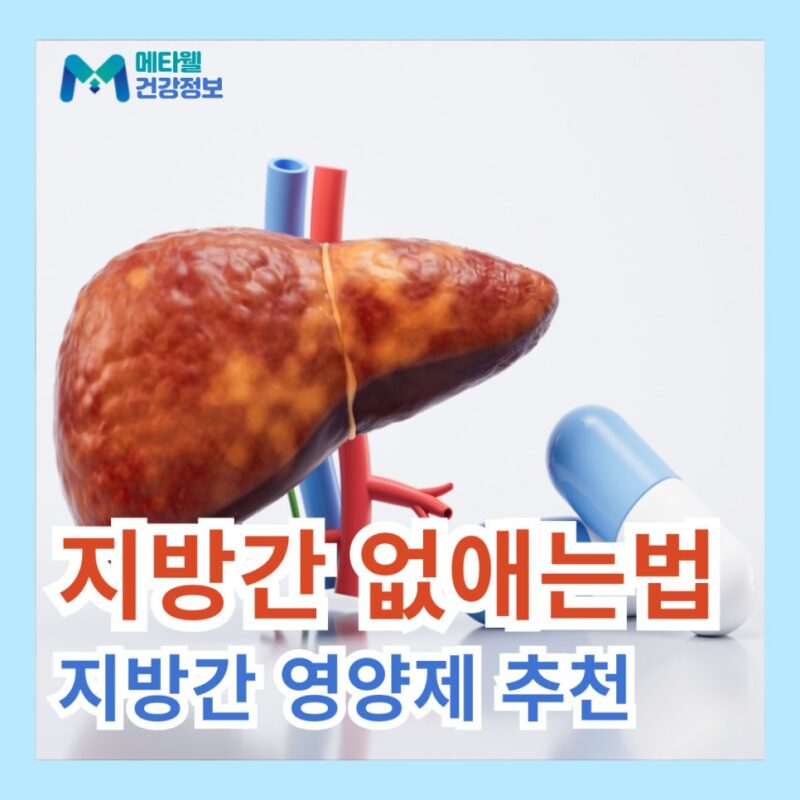 지방간 없애는법 원인 초기 증상 지방간에 좋은 영양제 추천