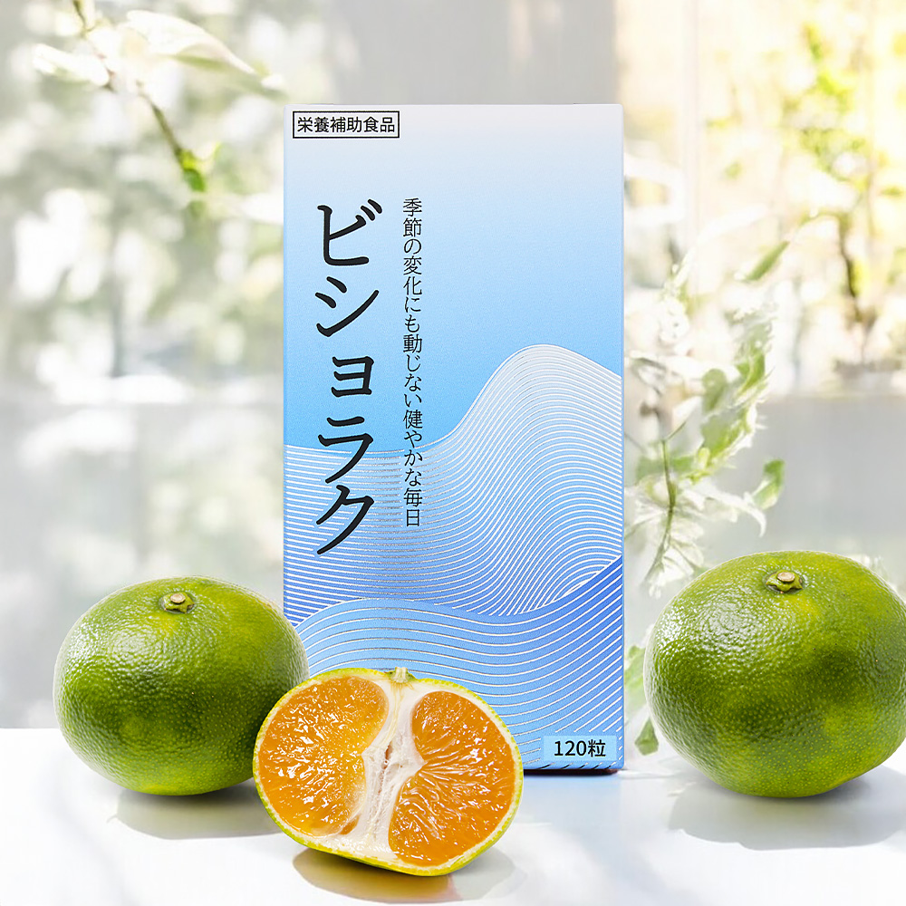 일본 비염 후비루약 비쇼라쿠