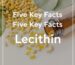 레시틴 추천